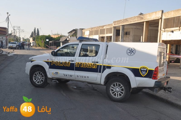 ta3n ludj31 (17).JPG